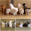 New Simulation Brown Fox Plush Toys Gift For Kid Furs Squatting Fox Model Animals World With Static Action Figures Ornament 1