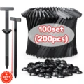 100PCS