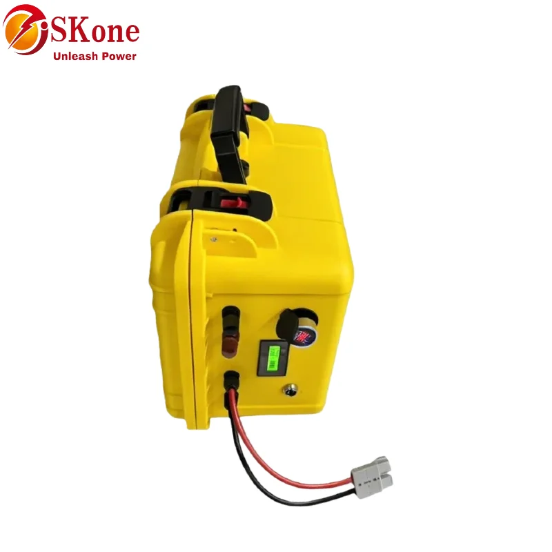 SKone12V 24V 100Ah 120AH 150AH 200AH 300Ah 400Ah Lifepo4 lithium iron phosphate