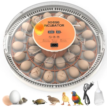 30-52 Egg Incubator with Automatic Egg Turning, Temperature Control and Humidity Monitor Incubators for Hatching Eggs, Chicken,