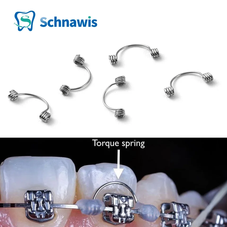 Torque Spring Plank Anterior Root Torque Spring