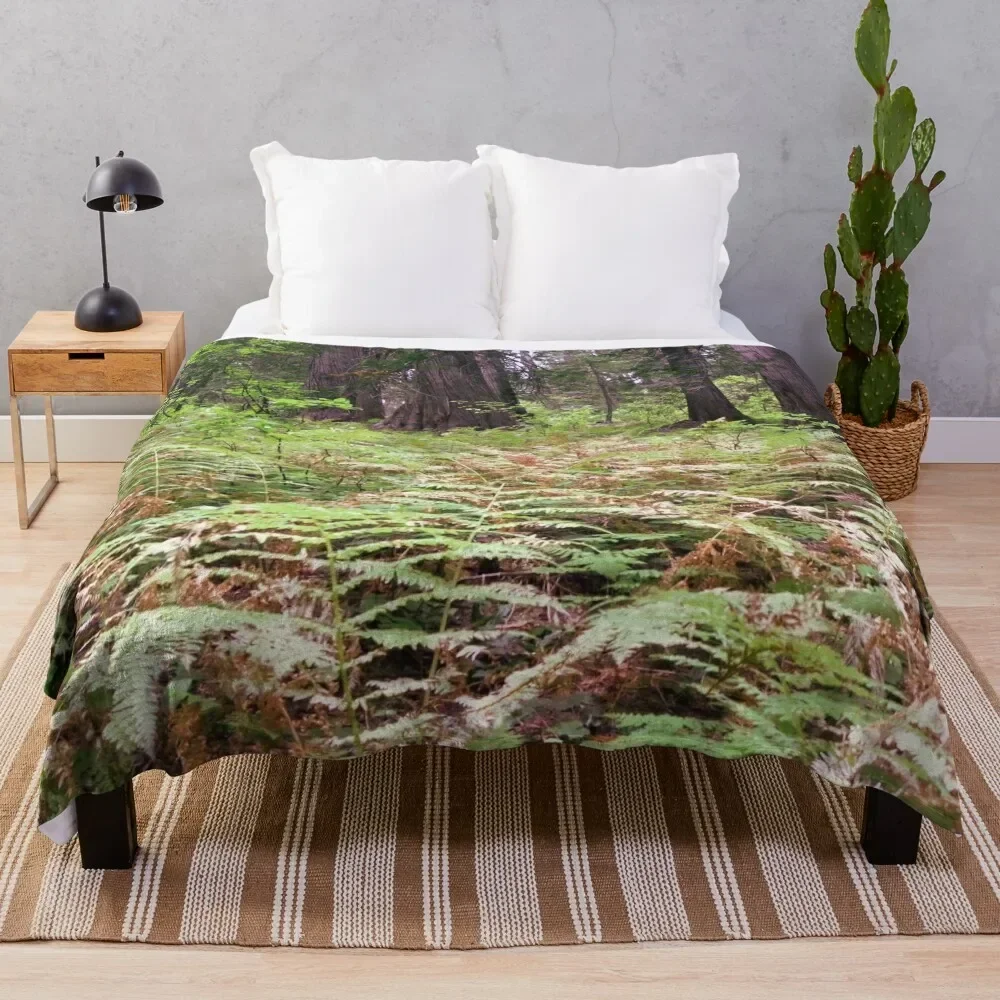 

Northwest forest with trees and ferns Throw Blanket Luxury Designer For Sofa Thin funny gift Blankets
