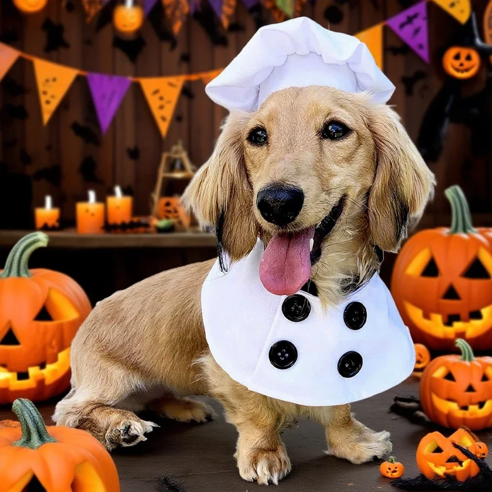 Pet Chef Halloween Costume 1