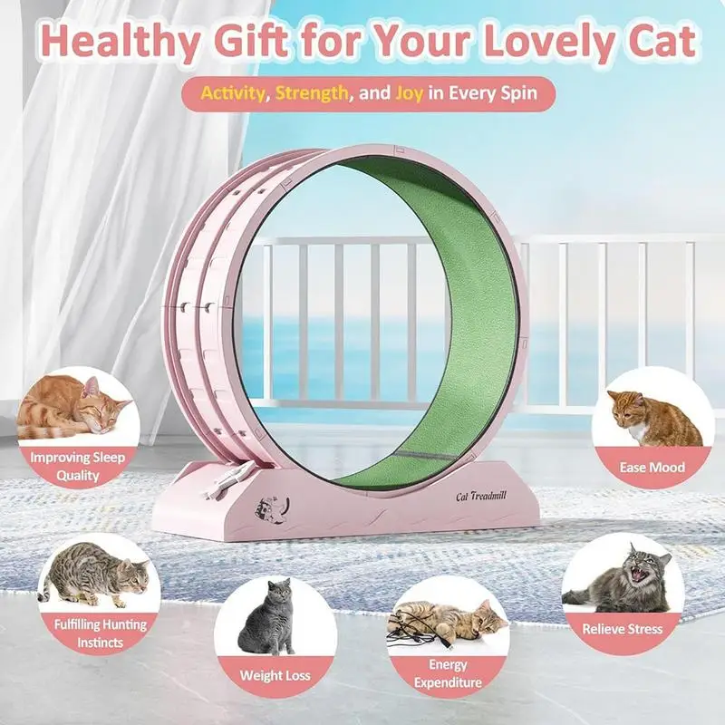 Cat Wheel Exerciser Quiet Workout Equipment For Kitten Large Cat Wheel Exerciser For Indoors Safety Kitten Treadmill With Teaser