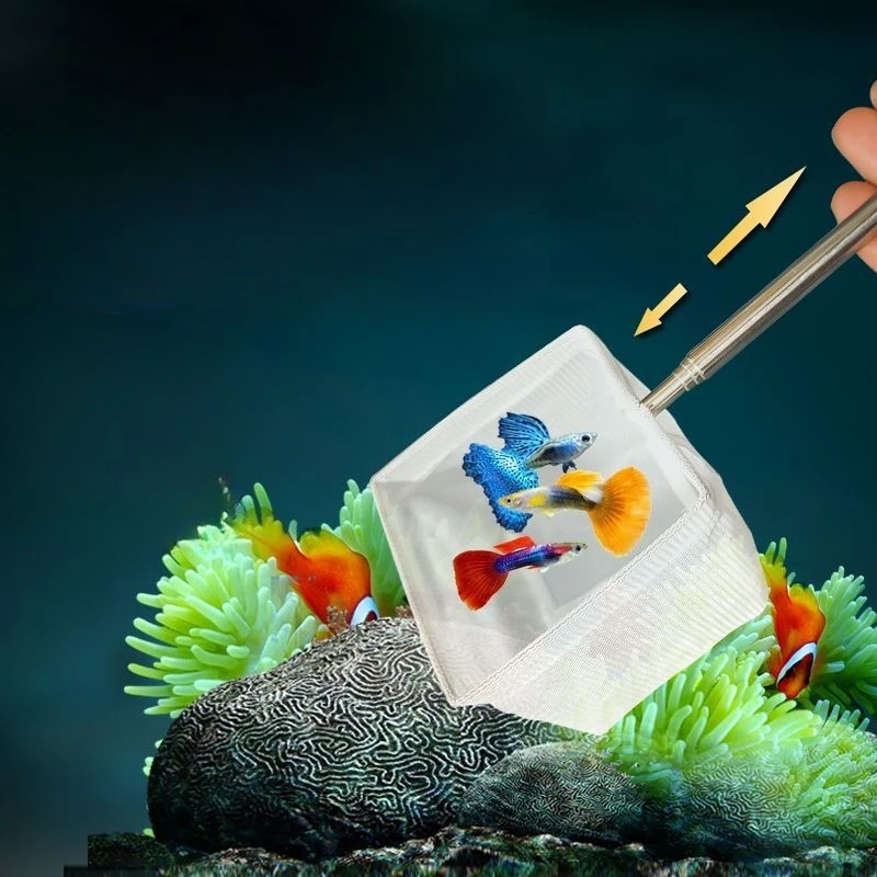 Aquarium Fish Net Small Shrimp Fine Mesh Net for Tank Cleaning Catching Breeding Betta Fry and Guppy with Handle Cleaning Tools Aquarium Fish Net Small Shrimp Fine Mesh Net for Tank Cleaning Catching Breeding Betta Fry and Guppy with Handle Cleaning Tools