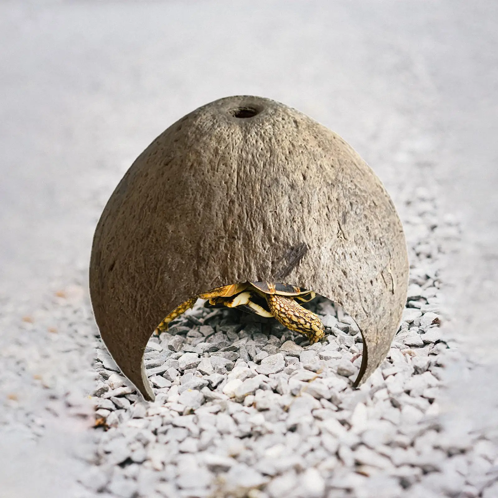 Coconut Shells Hut Shelter Growth Fish Tank Hermit Nest Aquarium Decor
