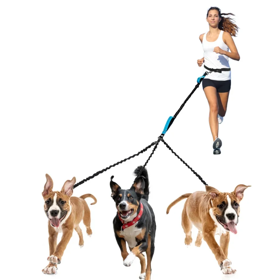 

Dog Collar for Suitable Adjustable Leash And Jogging Harness Use Running Pets Hands-free Multi-dog Walking