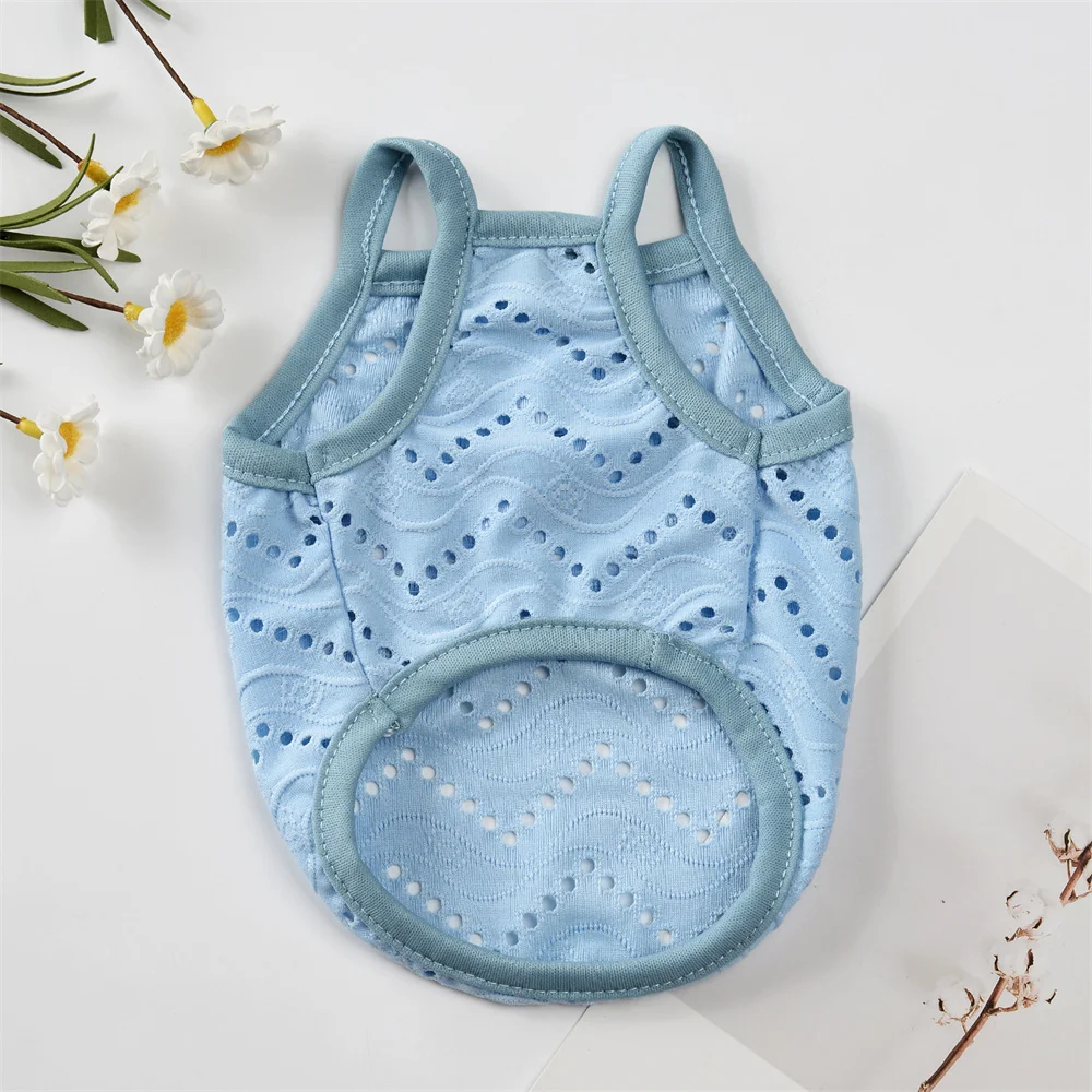 Slide image aee0cf6de43b4507ba9f2c6141c575c6