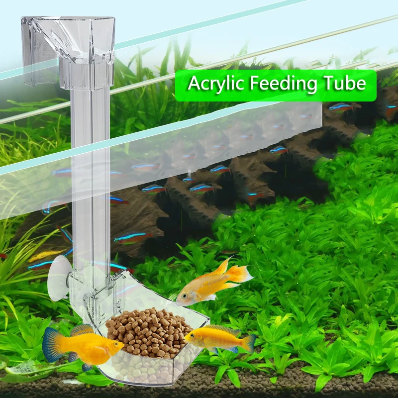 Tubo Alimentatore Per Gamberetti Acquario - Piatto Alimentazione Acrilico Trasparente 40cm - Foto 4