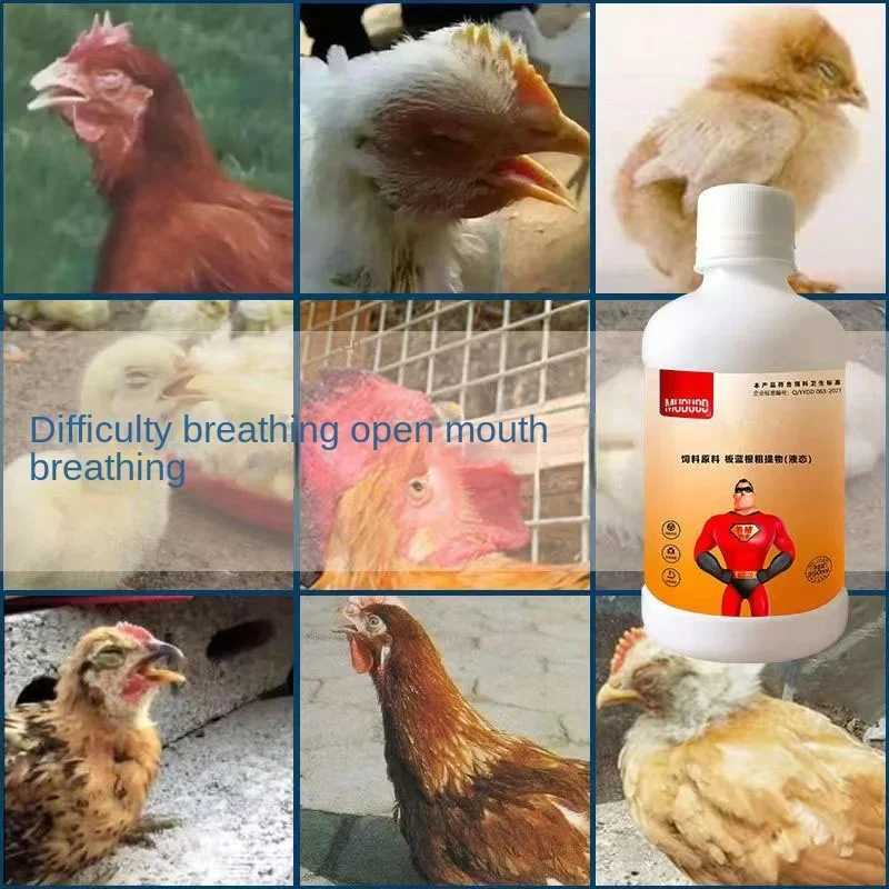Chickens, ducks, pigeons, snoring and coughing, snoring, opening mouth and neck extension, swollen eyelids, tearing 250ml