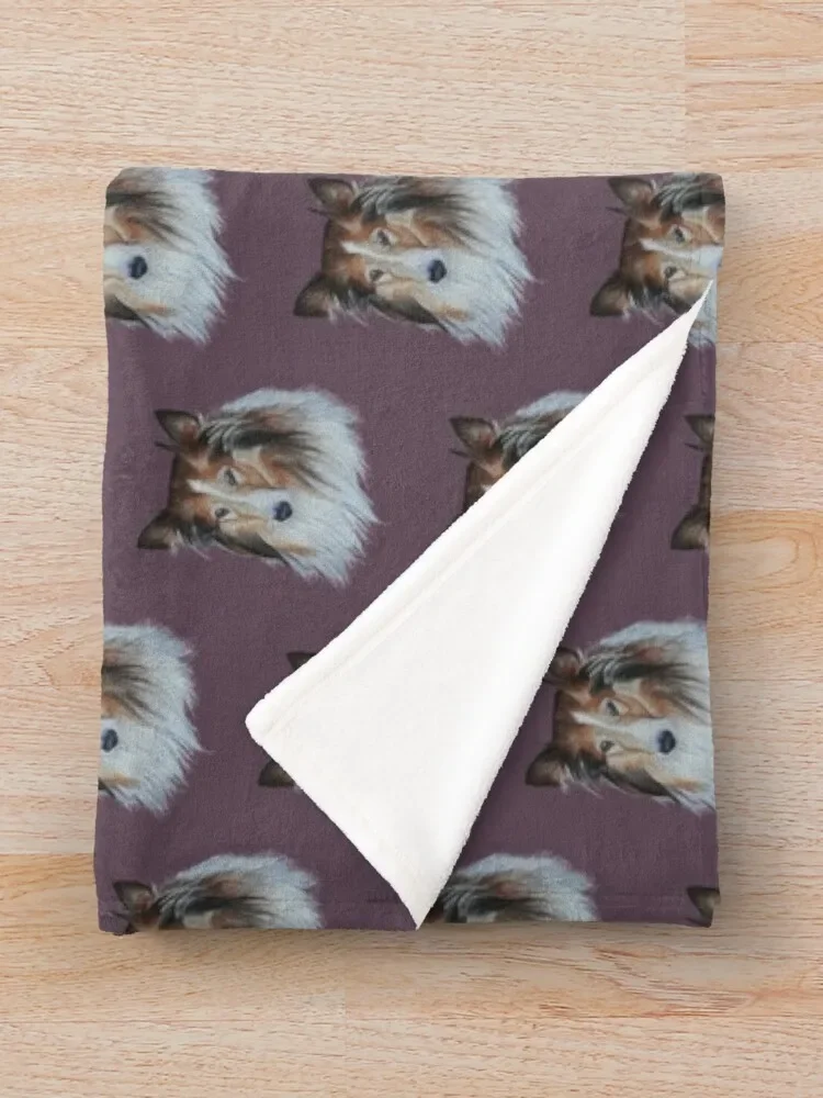 ���� �� ���� �ݸ� ������ ���, �ҷ��� �ʴ��� ������ ����, ������ �ܿ� ���