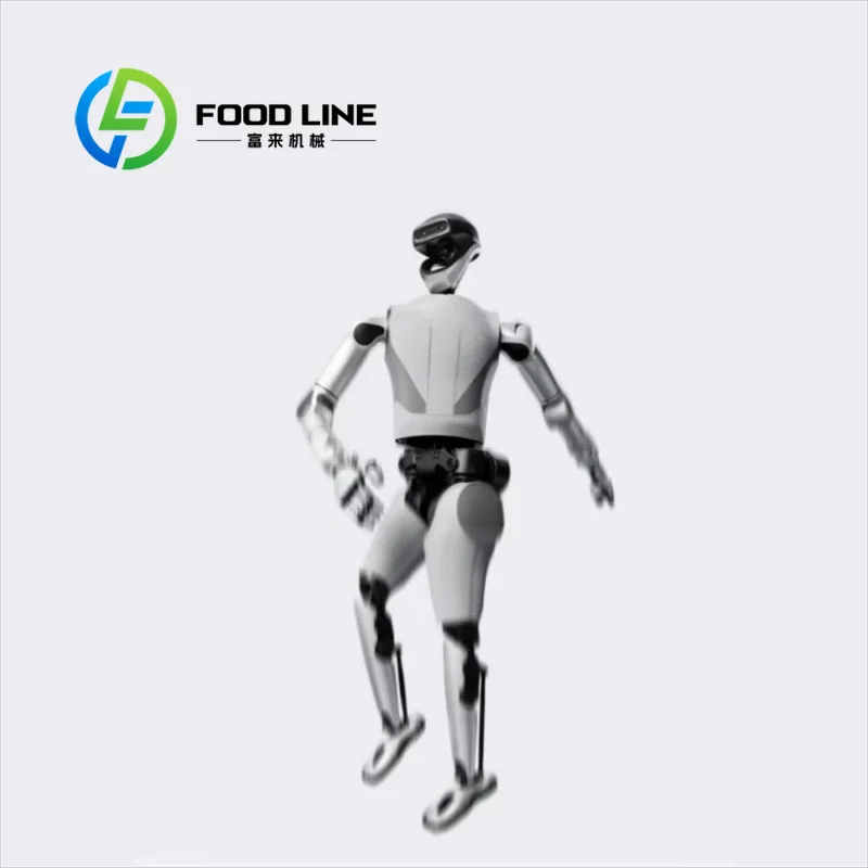 Entertainment Humanoid Robot Sings, Dances And Plays Interactive Mini-Games To Enrich Visitor Experience In Amusement Parks