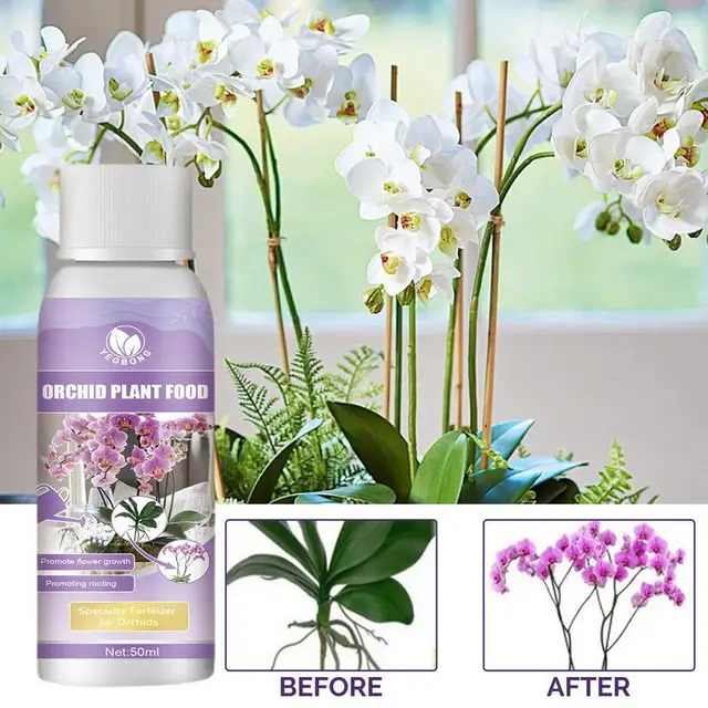 50 Ml -Es Orchidea Speciális Műtrágya Gyökerező Folyékony Növény Gyors Gyökérzetű Ágens Virágzó Szerves Savas Szerető Szobanövényekhez - Image 5