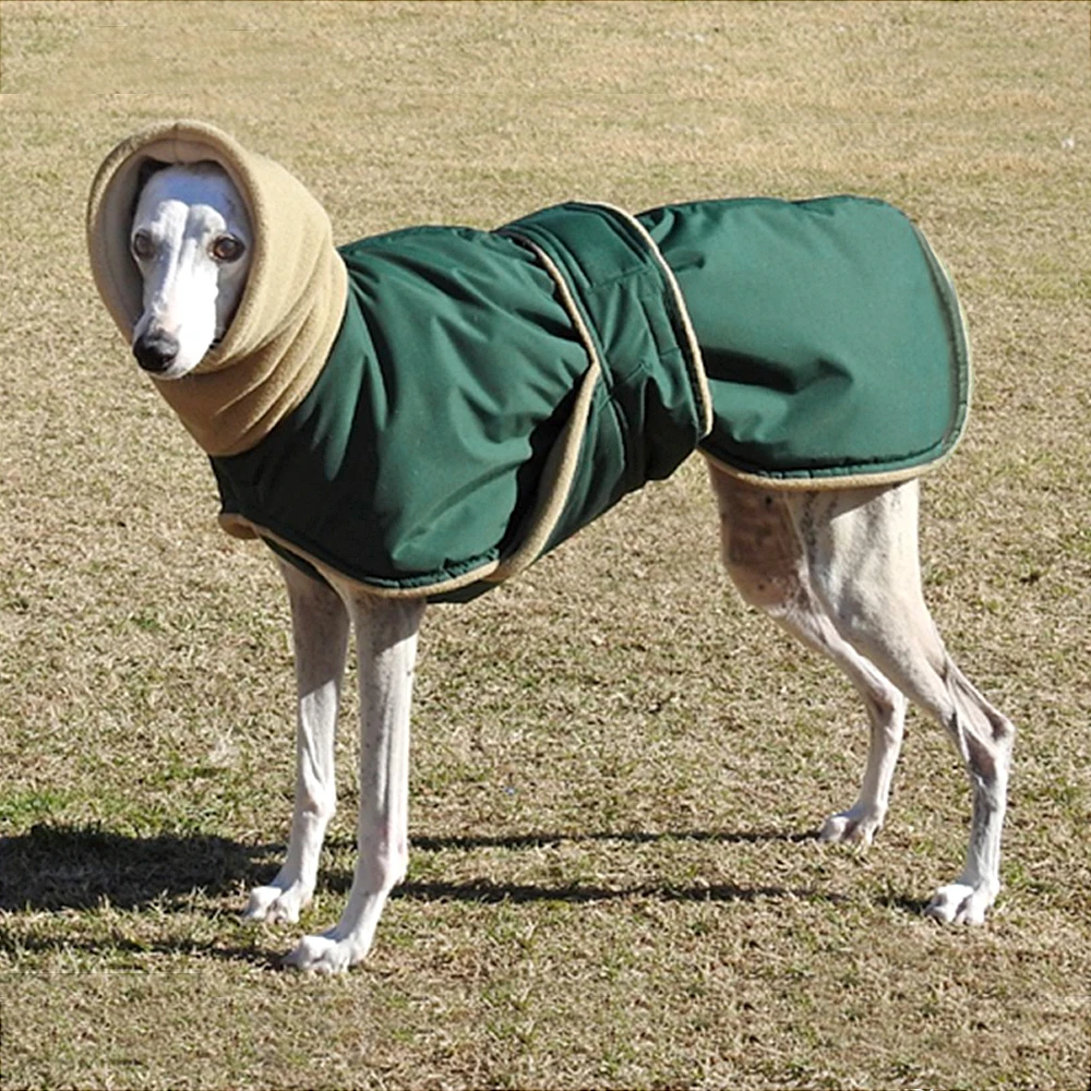 Extra Warme Hundejacke Für Große Hunde – Winddicht, Reflektierend, Mit Pelzkragen & Reißverschlussschutz
