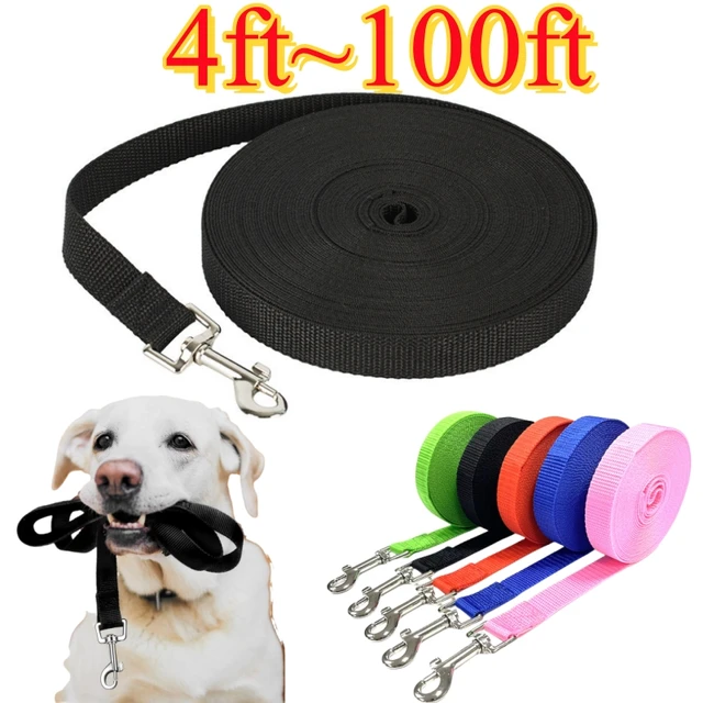 4ft-100ft Nylon Dog Leash Long Leash for Dogs Pet Shop Outdoor Training Extended Control Dog Leashes Pet Accessories All Dogs 4ft-100ft Nylon Dog Leash Long Leash for Dogs Pet Shop Outdoor Training Extended Control Dog Leashes Pet Accessories All Dogs