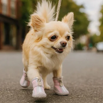 Breathable Mesh Dog Shoes 1