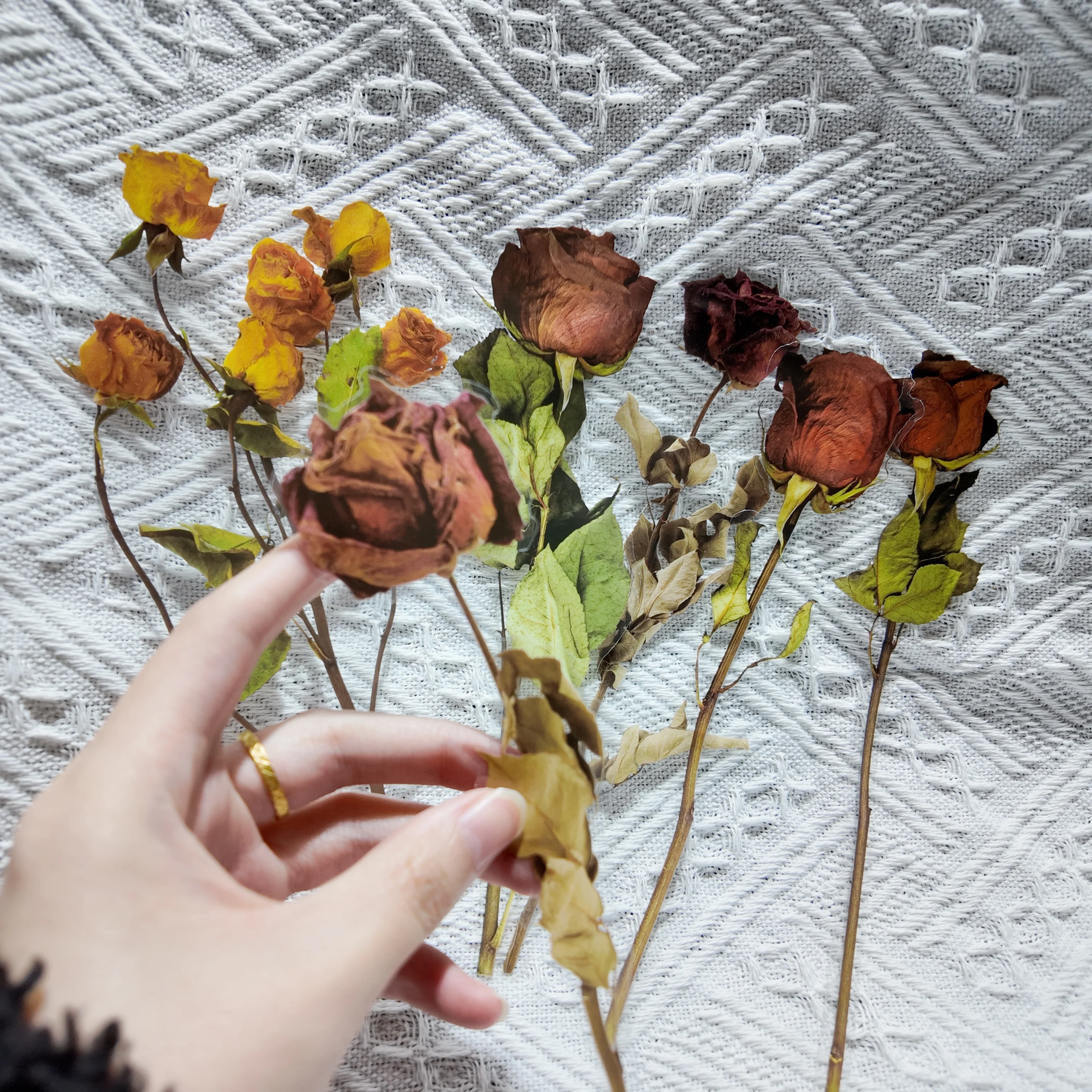 6 시트 대형 식물 꽃 스티커 DIY 스크랩북 플래너 콜라주 일기 용품 미학 스티커 편지지