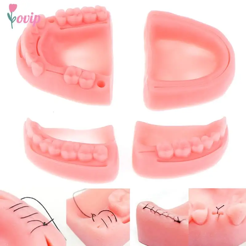 4pcs Dental Simulation oral suture model Gum suture teaching training equipment