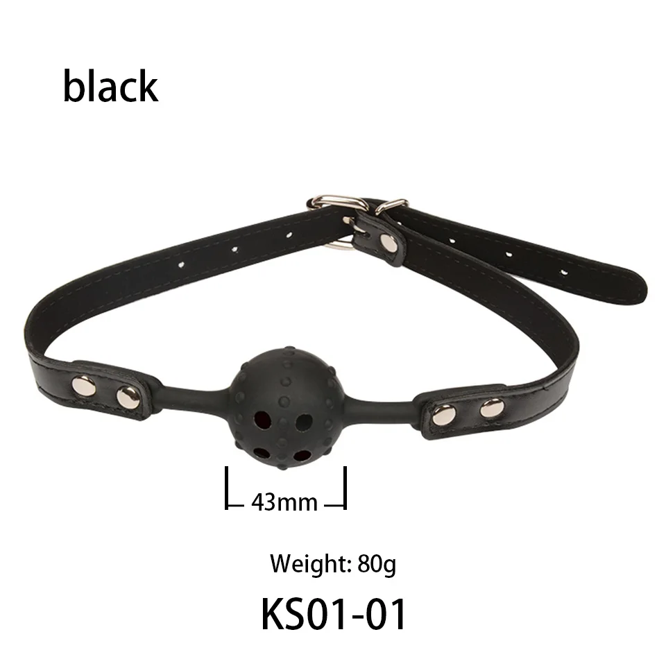 KS01-1