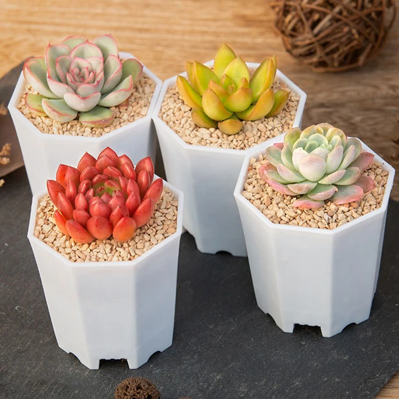 20 PCS Achteckige Blumentopf Kunststoff Blumentöpfe Set Weiß Blumentopf Mit Drainage Löcher Indoor Outdoor Sukkulenten Wachstum Töpfe ZYF_voghion.com