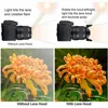 3 in 1 Kit UV Filter & Lens Hood Cap Adapter Ring For Canon Powershot SX70 SX60 SX50 HS G3X Digital Camera 4