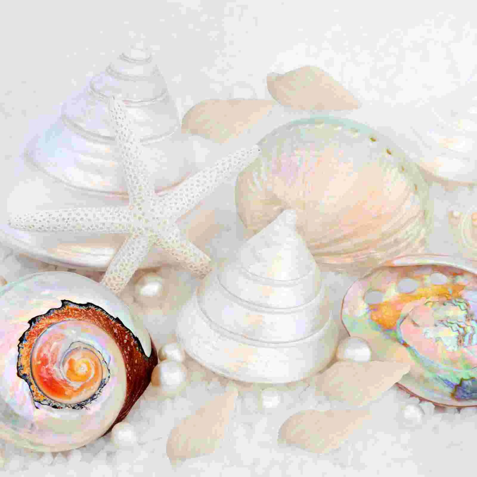 100pcs White Mini Sea Shell Conches Craft Wedding Garden Aquarium Decoration 3