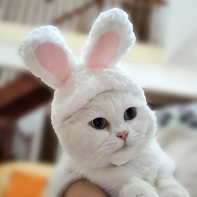 Cute Cat Rabbit Headgear Cute Rabbit Ears Pet Cat Dog Accessories