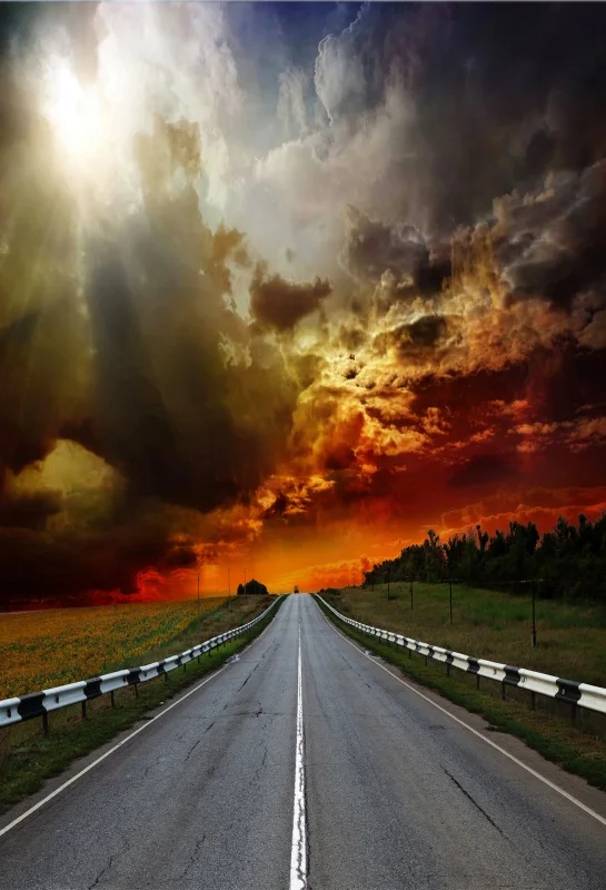thumbnail image 1 of Fondo de fotografía de retrato para niños y adultos con carretera de Laeacco, camino sinuoso sin fin, paisaje natural, campo, árbol frondoso, 1 of 5