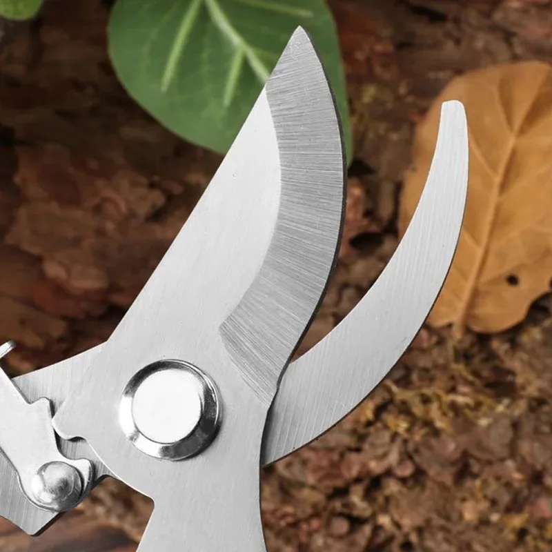 Pruning Shears for Garden - Image 2
