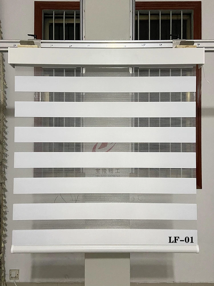 Motorized Window Blinds Half Blackout Zebra Blinds Light Filtering Roller Blinds Day and Night Curtains Blinds for Windows