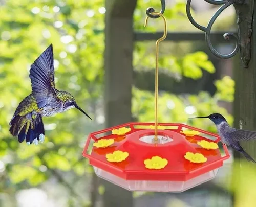 Bird Water Drinker Hummingbird Drinker Yellow Flower Red Bottle