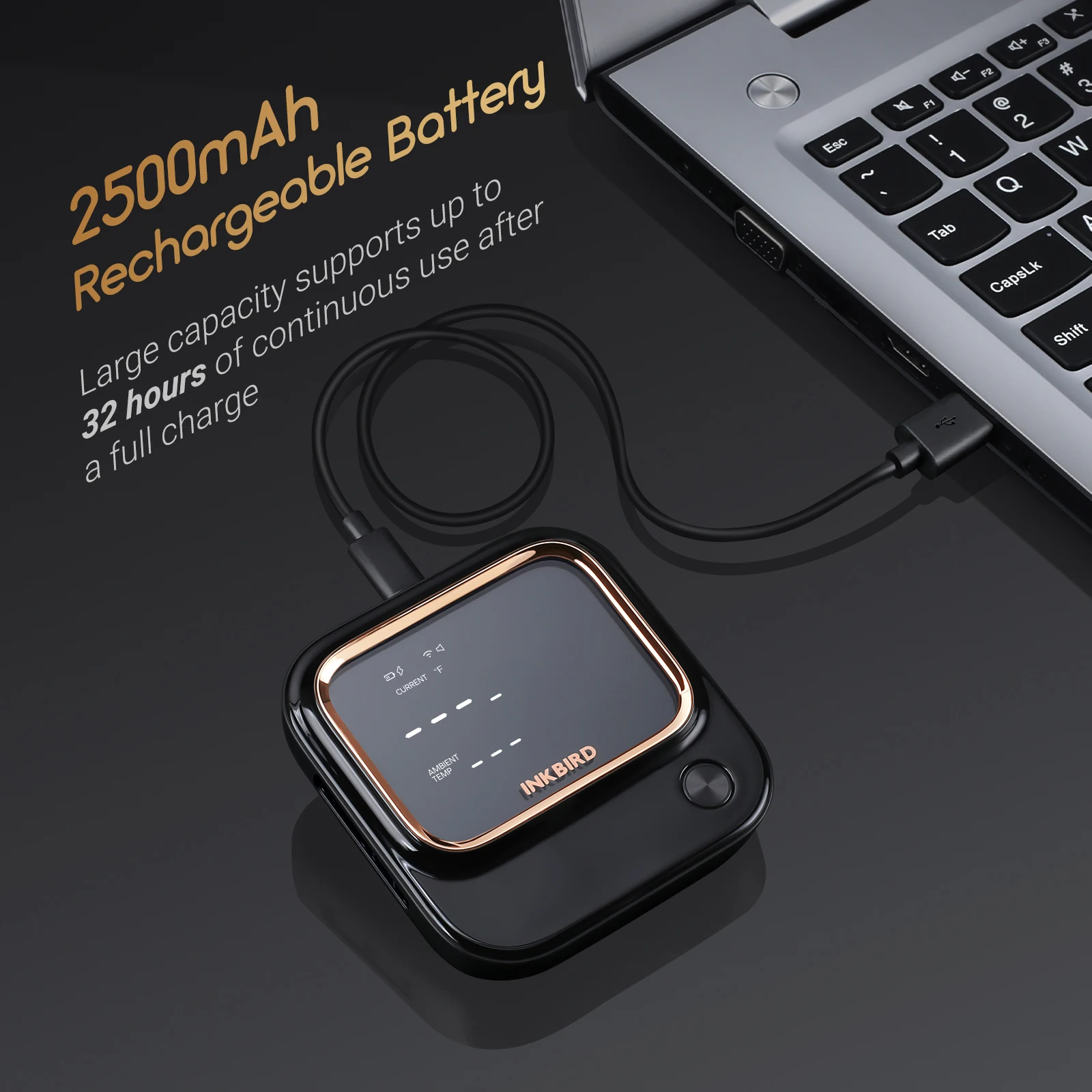 Рисунок 2 - Пищевой термометр INKBIRD для барбекю