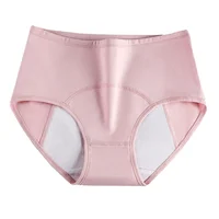 Urinary Urinary Incontinence Panties Women Waterproof Anti-side Leakage Menstrual Pants Miss Panties Ladies Lingerie Fabric 1