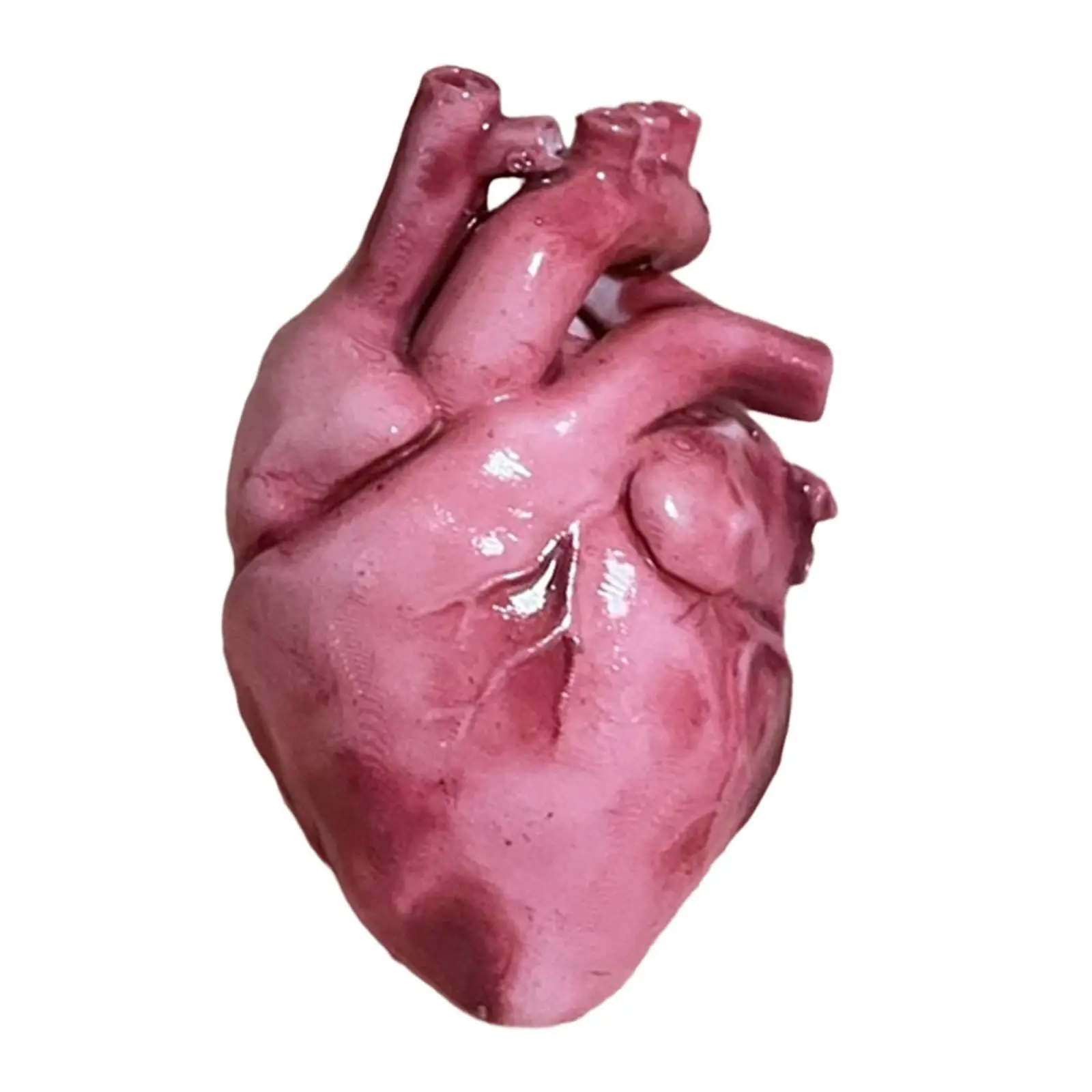 

1/18 Heart Model Scene Decoration Multi Purpose Toy for Kids Adults Ornament