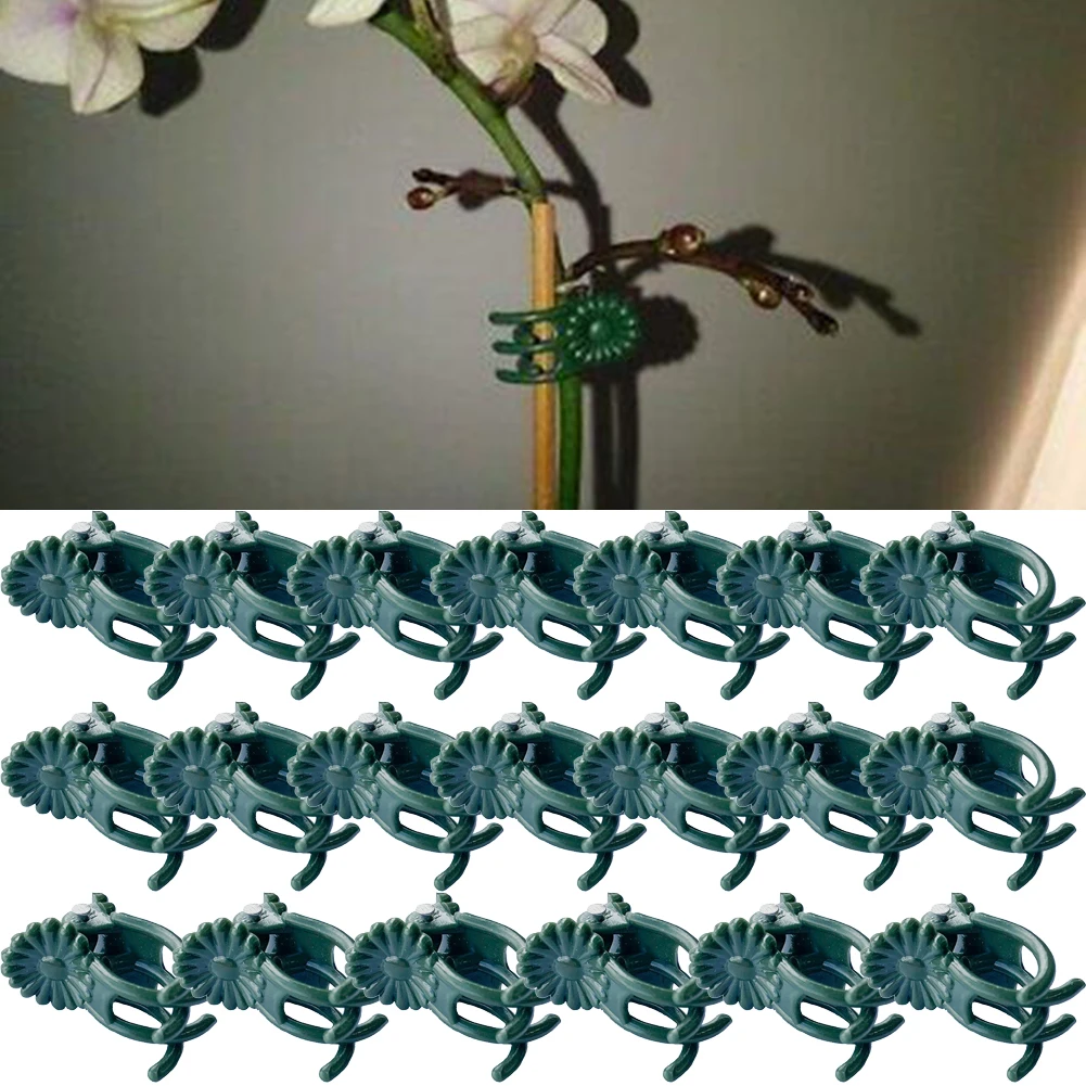 

20pcs Flower Tied Bundle Branch Clamping Orchid Clips Plant Support Stem Clamps Garden Flower Vine Plant Support Garden Tools