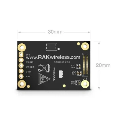 Nordic nRF52840 BLE Core Module for LoRaWAN with LoRa SX1262 | RAK4631 / RAK4631-R| RAKwireless 2
