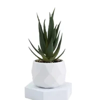 Artificial Succulent Bonsai Plants Simulation Succulents Mini Evergreen Bonsai Cactus Succulent Plastic Fake Plants Decor 5