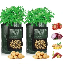 Sac de Culture de Légumes, en PE, avec Poignées Renforcées, pour Pommes de Terre, Carottes, Arachides, Taro