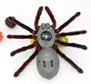 [Funny] Prank trick toy Infrared remote control flash spider animal toy Electronic pets RC simulation luminous tarantula model 4