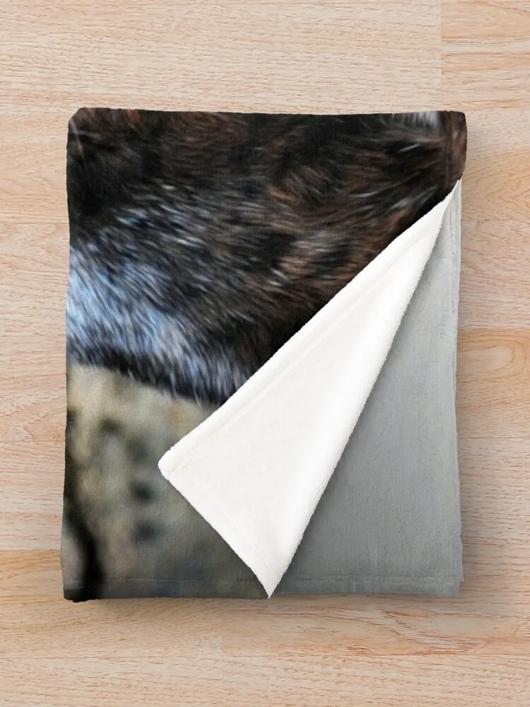 ���� �����ĵ� ��� ��Ʈ ���  ��� ��� ����