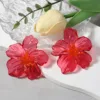 Boucles d'oreilles à fleurs transparentes en acrylique coloré pour femmes, grandes fleurs exagérées, accessoires bijoux de fête, 2025