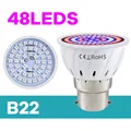 B22-48Leds