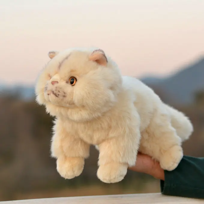

gift model fat face cat