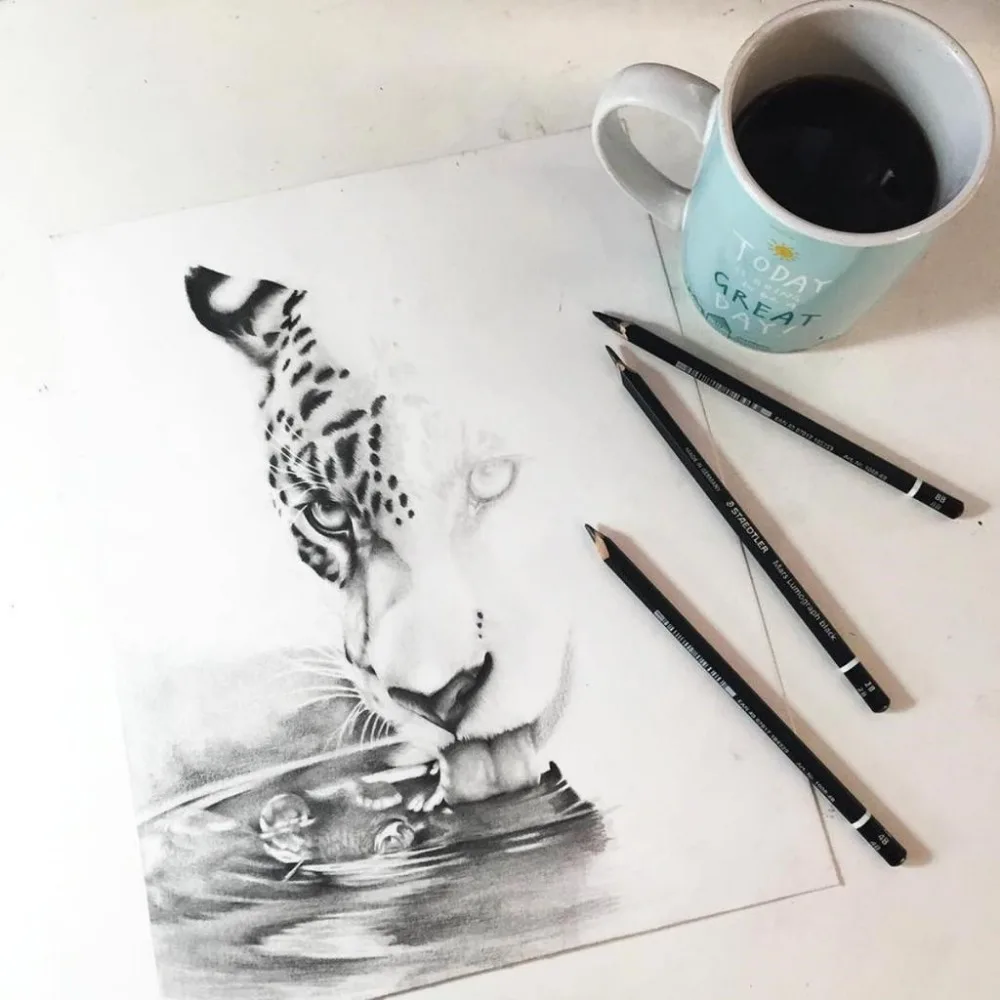 Charcoal pencils NYONI professional artist drawing tools for sketch shading caricature engineering drawing