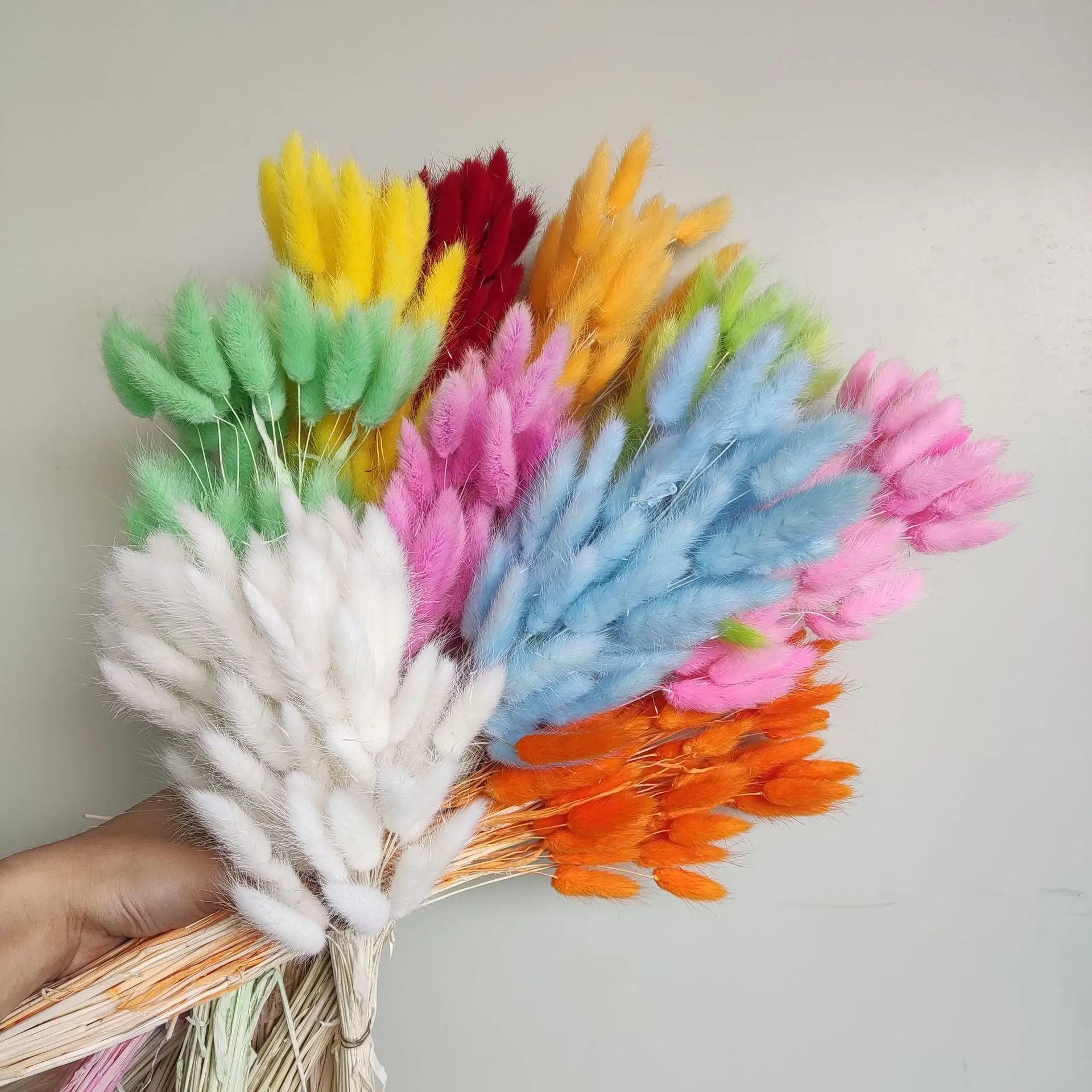 DryBunnyTailsGrassNaturalDriedFlowersDIYCraftRabbitTailGrass