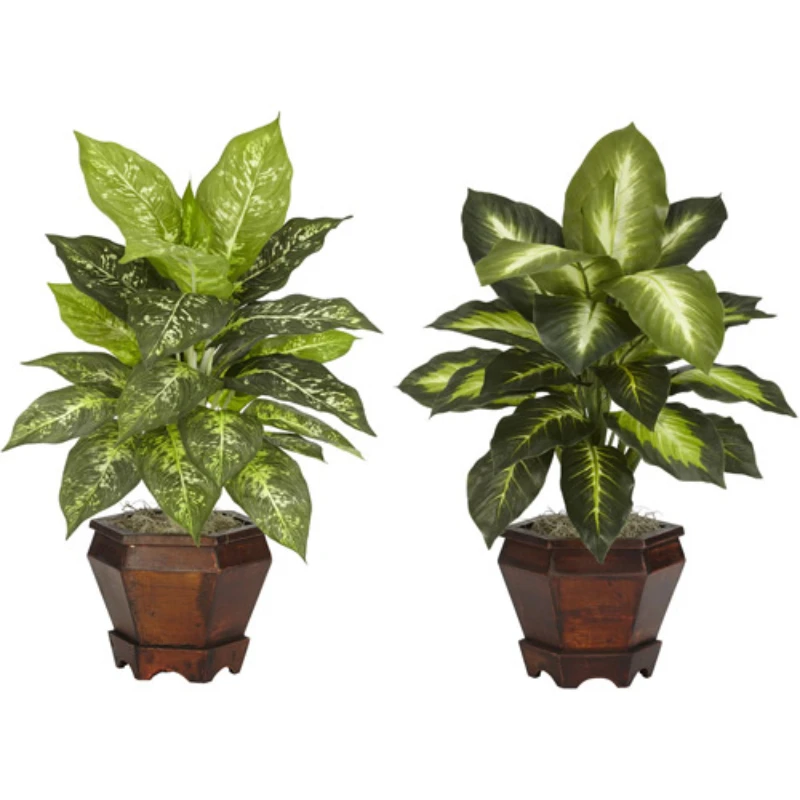 

20.5" Dieffenbachia with Wood Vase Artificial Plant (Set of 2), Multicolor