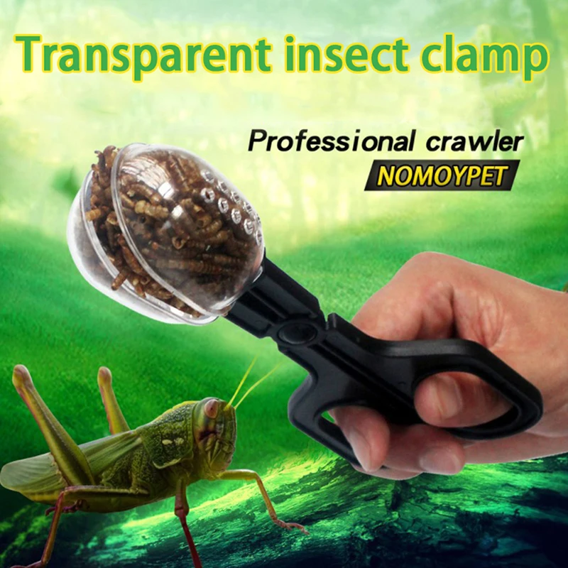 Portable Transparent Insect Catcher Scissor Indoor Outdoor Kids Fish