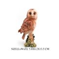 Barn Owl -1