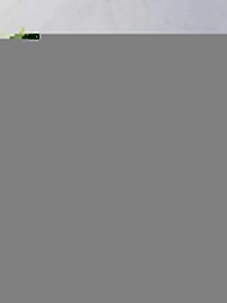 ��ũ ��äȭ ��Ƽ�� �� ���� ������ ���, ���� ���, �� ���Ÿ� ������ ķ�� ���