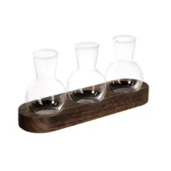 Contemporary Hydroponic Glass Vase with Wooden Tray - Stylish Plant Terrarium (A)
